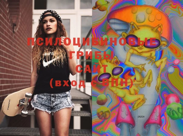 спайс Лабытнанги