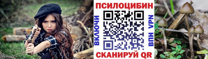 Купить закладки  Домодедово  Галлюциногенные грибы MAGIC MUSHROOMS 